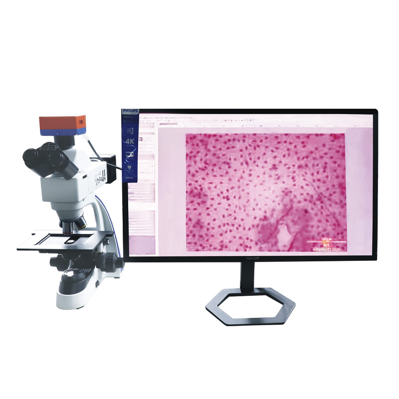 SYD-XW纤维图像分析仪